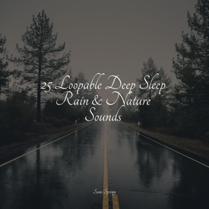 Обложка для Zen, Sonidos De Lluvia y Tormentas, Rain and Nature - Flowing Water