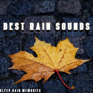 Обложка для Sleep Rain Memories - Soaked Rain