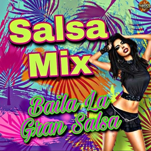 Обложка для Salsa Mix - Se Me Perdio la Cartera