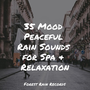 Обложка для Relaxation Personal Guru, Rain Sounds Sleep, Sleep Sound of Nature - Water Dripping, Concrete, Metal, Urban