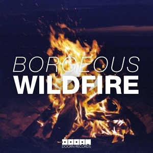 Обложка для Borgeous - Wildfire