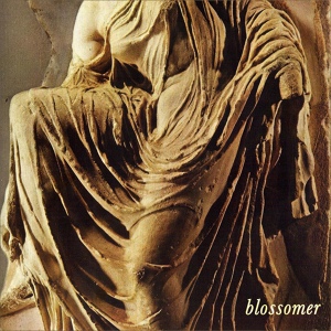 Обложка для Blossomer - The Storm