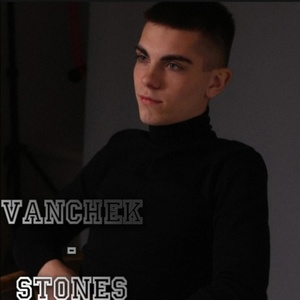 Обложка для VanChek - Stones