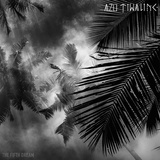 Обложка для Azu Tiwaline - Night in Palmtree