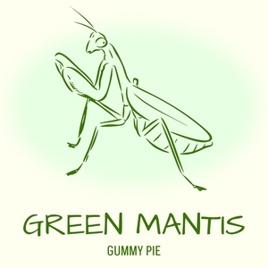 Обложка для Gummy Pie - Shadows of Green