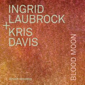 Обложка для Ingrid Laubrock, Kris Davis - Snakes and Lattice