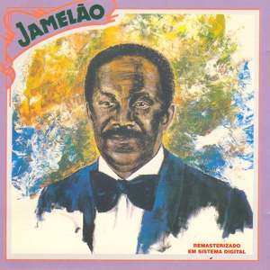 Обложка для Jamelão - Respeito