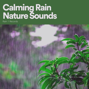 Обложка для Loopable Rain Sounds - Societal Rain