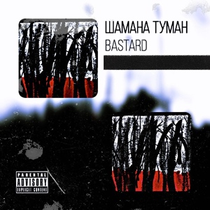 Обложка для Шамана Туман - Bastard