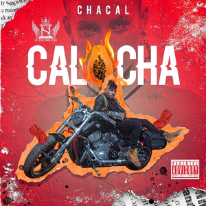Обложка для El Chacal - Calocha