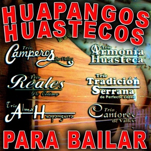 Обложка для Huapangos Huastecos - El Gallo