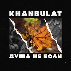 Обложка для KHANBULAT - Душа не боли