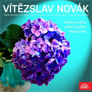 Обложка для Novak Quartet, Alfréd Holeček - Piano Quintet in A Minor, Op. 12: Allegro risoluto