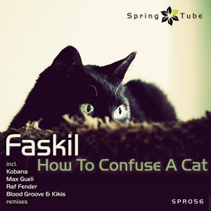 Обложка для Faskil - How to Confuse a Cat
