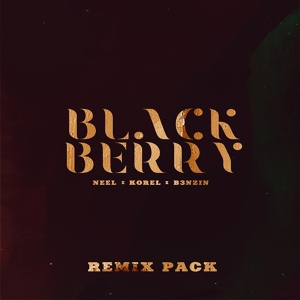 Обложка для NEEL, KOREL, B3NZIN - BLACKBERRY (BIDONCION Remix)
