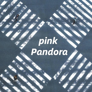 Обложка для Pandora - pink