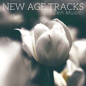 Обложка для Patrick Vibe - New Age Tracks