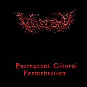 Обложка для Vulvectomy - Fornicate in Putrefaction