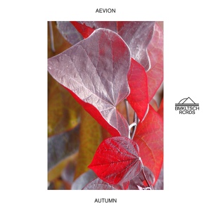 Обложка для Aevion - Autumn