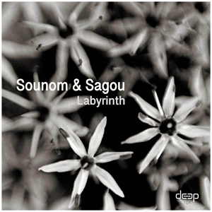 Обложка для Sounom, Sagou - Labyrinth