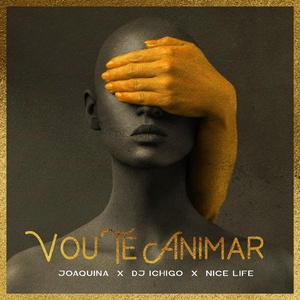 Обложка для Dj Ichigo, Nice Life, Joaquina - Vou Te Animar