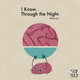 Обложка для Botnek - Through The Night