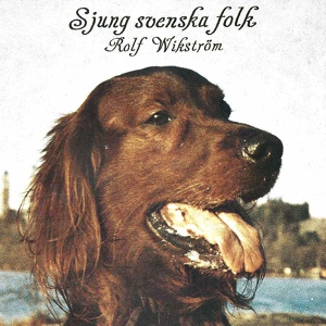 Обложка для Rolf Wikström - Hjort-Hank Williams