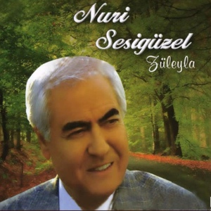 Обложка для Nuri Sesigüzel - Züleyha