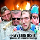 Обложка для Hayseed Dixie - Paint It Black