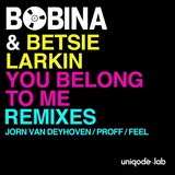 Обложка для Bobina, Betsie Larkin, Jorn van Deyhoven - You Belong to Me (Jorn van Deyhoven Remix)