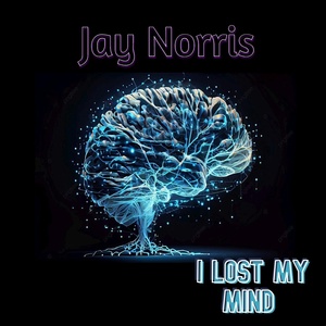 Обложка для Jay Norris - I Lost My Mind