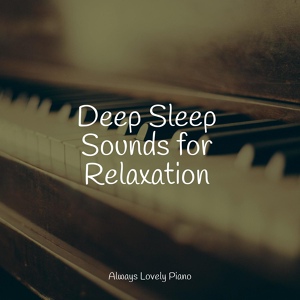 Обложка для Chillout Piano Session, Brain Study Music Guys, Relajante Música de Piano Oasis - Nap Time