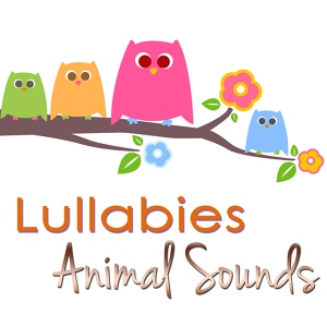 Обложка для Rainforest Music Lullabies Ensemble - Lullabies