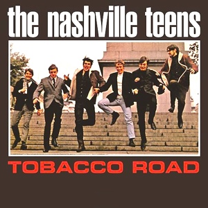 Обложка для The Nashville Teens - Need You