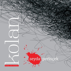 Обложка для Seyda Perinçek - Bêjinga Dil