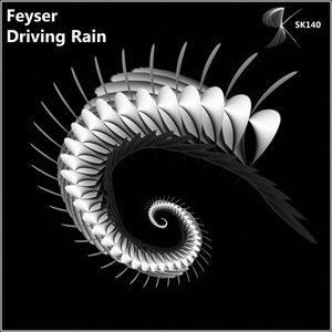 Обложка для Feyser - Driving Rain