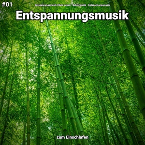 Обложка для Entspannungsmusik Olivia Lehen, Schlafmusik, Entspannungsmusik - Entspannungsmusik