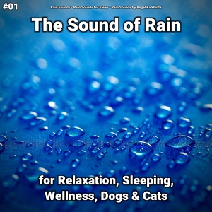 Обложка для Rain Sounds, Rain Sounds for Sleep, Rain Sounds by Angelika Whitta - Sounds of Rain for Sleeping