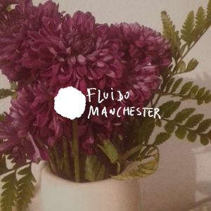 Обложка для Fluido Manchester - Tengo Que