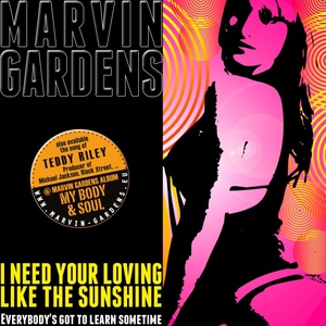 Обложка для MARVIN GARDENS - I Need Your Loving Like the Sunshine