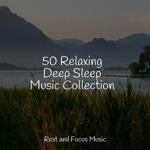 Обложка для Meditação Clube, Classical New Age Piano Music, Namaste Healing Yoga - Soothing Night Sounds