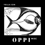 Обложка для Yella Gin - My Vse S Vami Sostoim Iz Metallov