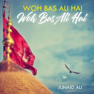 Обложка для Junaid Ali - Woh bas Ali Hai