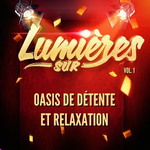 Обложка для Oasis de Détente et Relaxation - L'amour perdu d'une chanson