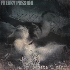 Обложка для FREAKY PASSION - Sonata E Minor