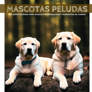 Обложка для Ismael Evora - Mascotas Peludas