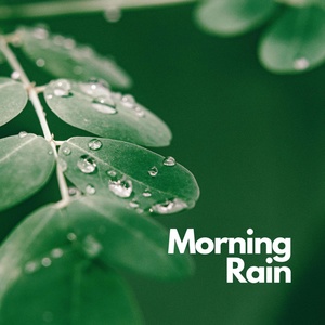 Обложка для Sensitive ASMR - Morning Rain, Pt.10