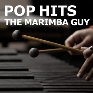 Обложка для Marimba Guy, Ain't Nobody - Ain't Nobody
