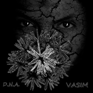 Обложка для Vasim - Fringe