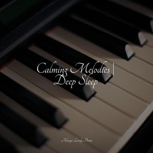 Обложка для Piano Relaxation Maestro, Bedtime Baby, Musica Relajante Para Estudiar - Zen Undertones